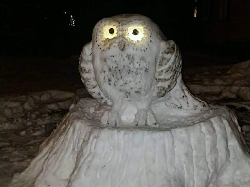 Neuvottoman Lumihahmokilpailu