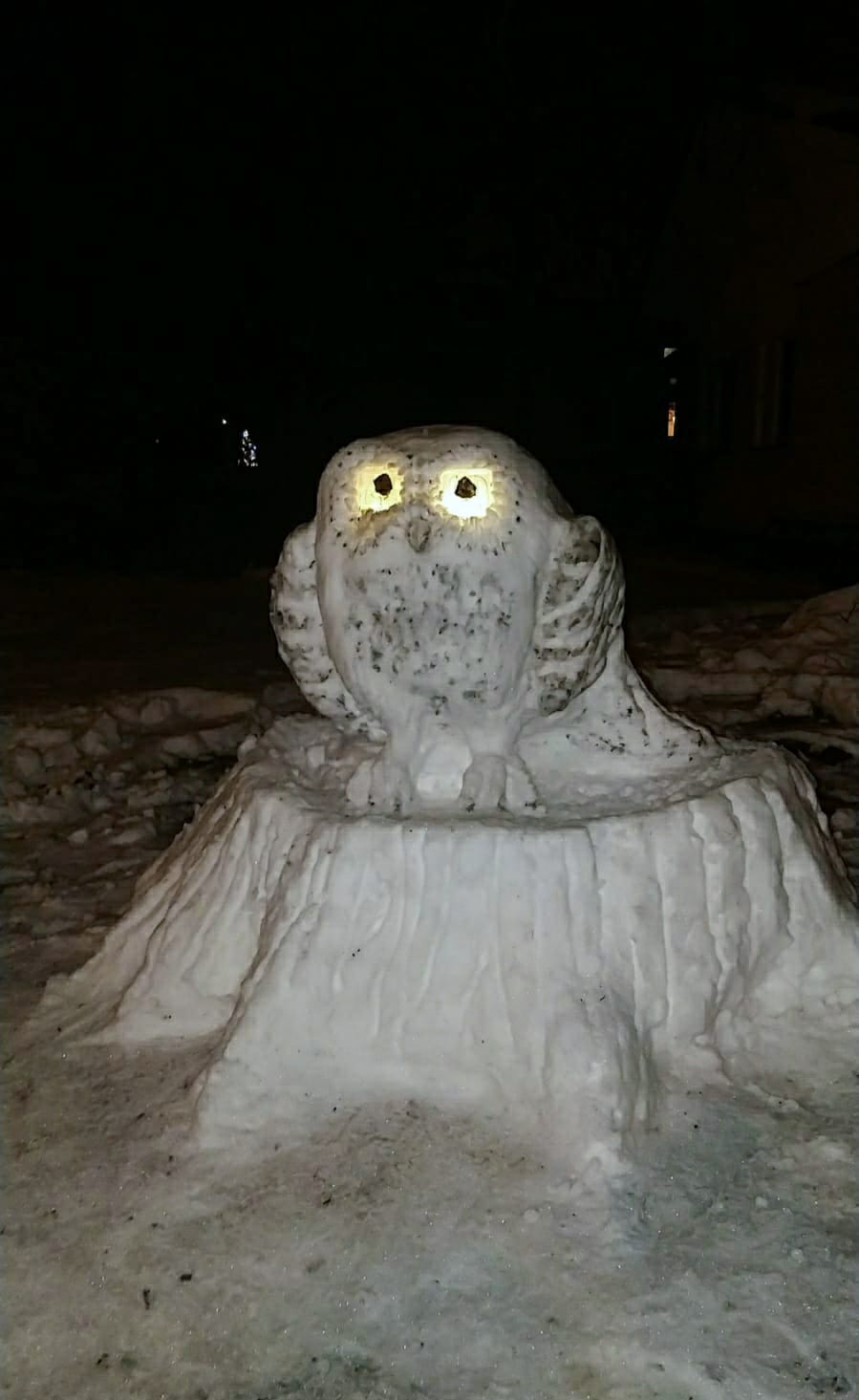 Neuvottoman Lumihahmokilpailu